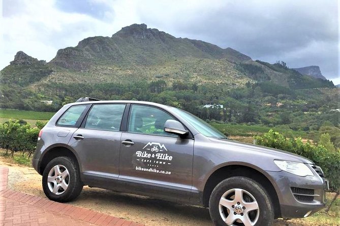 Constantia Hidden Gem Cycle Half Day - Private Tour - What the private format adds