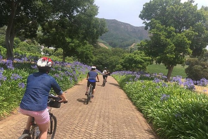 Constantia Hidden Gem Cycle Half Day - Private Tour - Is $148.64 a fair price?