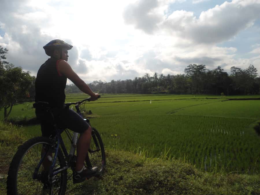 Countryside Bike Ride to Golong Village and Lingsar Temple - Key points to know before you book
