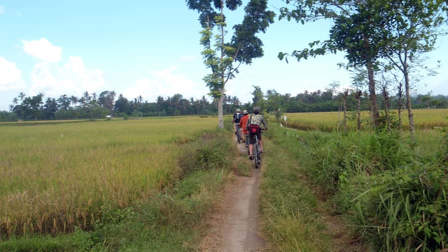 Countryside Bike Ride to Golong Village and Lingsar Temple - Why this ride feels different from a standard Lombok day tour