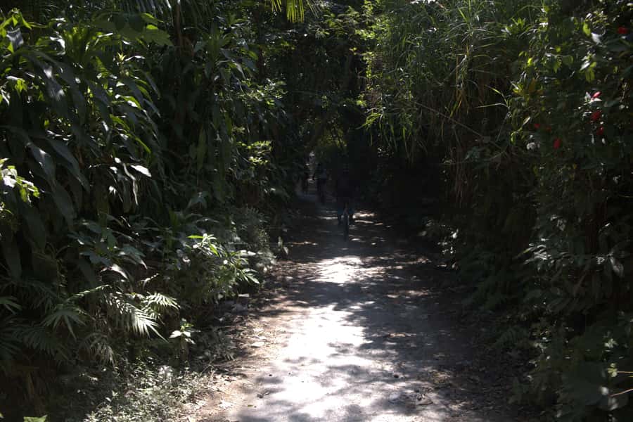 Countryside Bike Ride to Golong Village and Lingsar Temple - A Hindu temple and mosque side by side