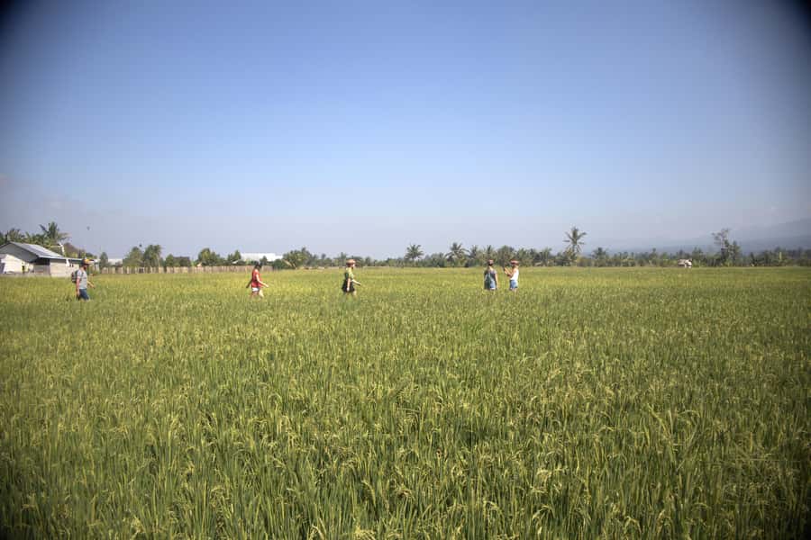 Countryside Bike Ride to Golong Village and Lingsar Temple - Ranget Spring, local food, and a needed reset