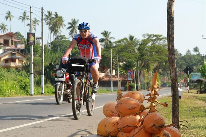 Countryside Cycling Tour in Colombo - The 8:00 a.m. tuk-tuk pickup