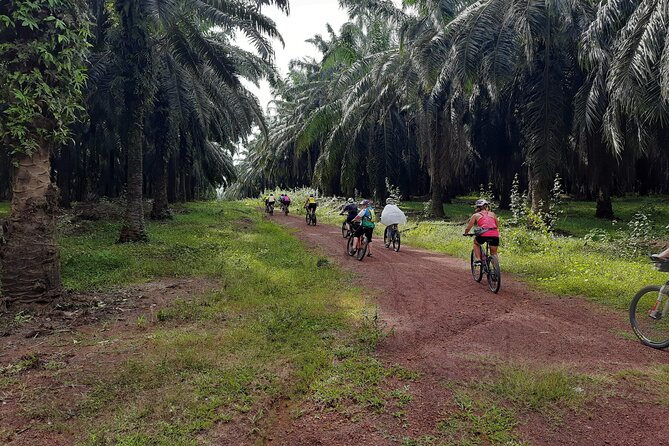 Countryside Cycling Tour. T1.0 by Matahari - Key points at a glance