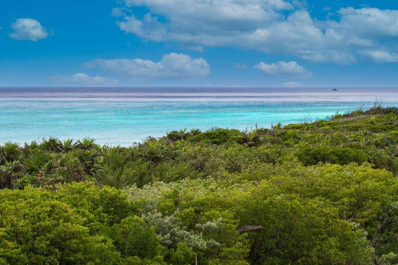 Cozumel: North Shore E-Bike Adventure & Beach Break - Who should book this Cozumel e-bike tour?