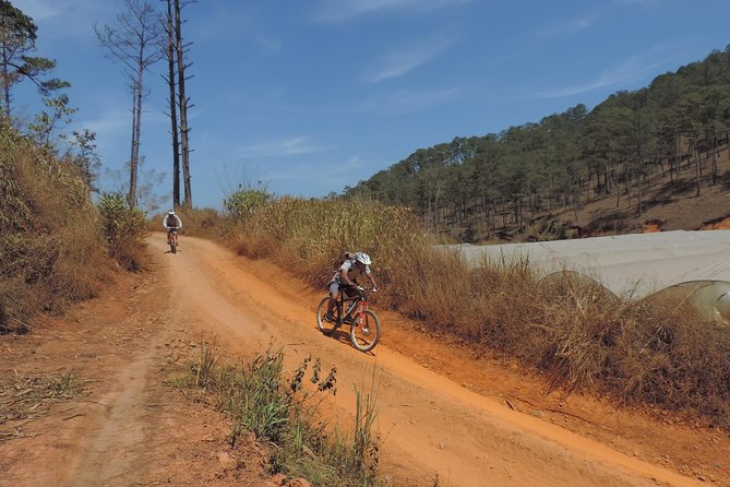 Crazy 8 Mountain Bike Tour from Dalat - Lakes, pine forest, and country farms