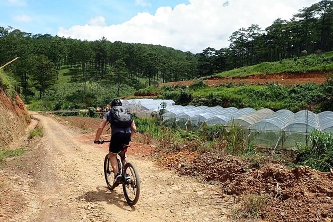 Crazy 8 Mountain Bike Tour from Dalat - The return route completes the figure eight
