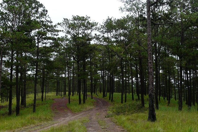 Crazy 8 Mountain Bike Tour from Dalat - What the $25 price includes
