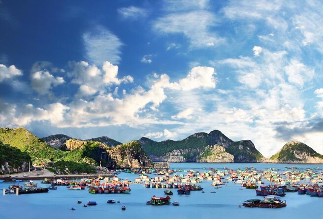 Cruising- Kayaking- Cycling- Trekking 3D/2N from Cat Ba in less tourist areas. - Key points to know before booking