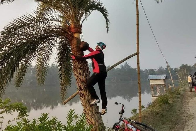 Cycle the Kolkata Wetlands and Amazing Views - Who should book this cycling experience?