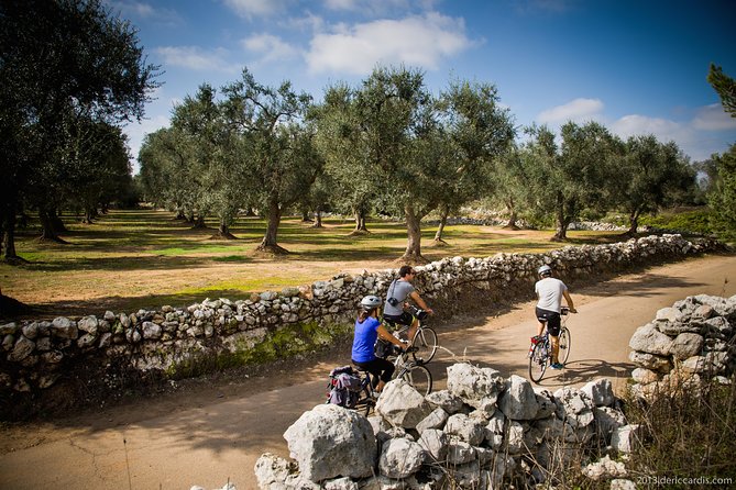 Cycling Across Salento: Capo di Leuca 4-Hour Bike Tour - Quiet roads, olive trees, and small villages