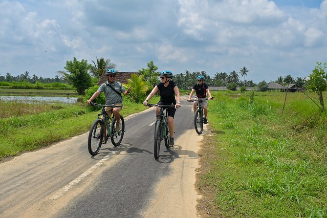 Cycling and Cooking Class in Ubud - How much value do you get for $91.22?
