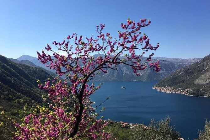 Cycling and hiking short tour through the bay of Kotor - Why the private format matters
