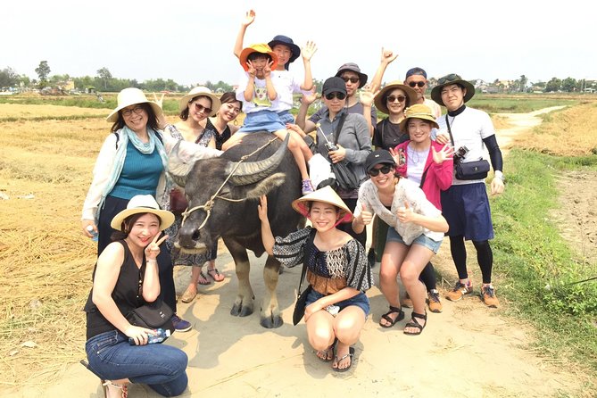 Cycling, Buffalo, Basket Boat ride in Hoi An - Rice paddies, farmers, and a hands-on lesson