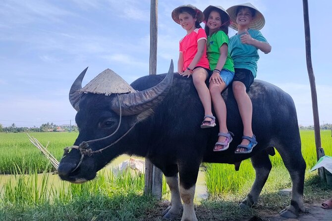 Cycling, Buffalo Ride and Basket Boat Tour in Hoi An - Key points to know before booking