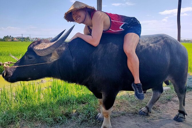 Cycling, Buffalo Ride and Basket Boat Tour in Hoi An - What $35 includes, and where the value lies