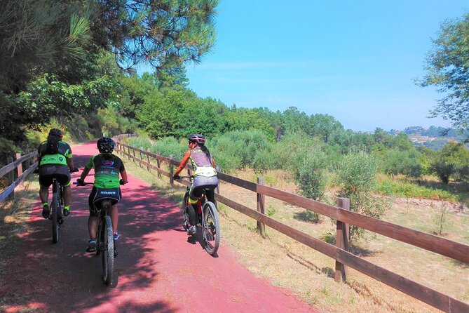 Cycling Ecopista do Dão One Way, full-day from Coimbra - A railway line turned into a long, easy-to-follow ride