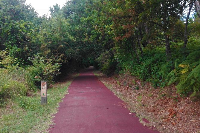 Cycling Ecopista do Dão One Way, full-day from Coimbra - Stone benches, open views, and the rhythm of the trail