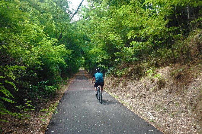 Cycling Ecopista do Dão One Way, full-day from Coimbra - What the $143.91 price includes