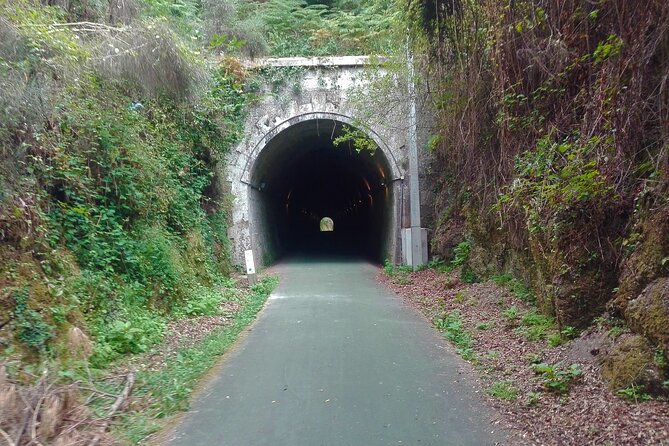 Cycling Ecopista do Dão One Way, full-day from Coimbra - Who will enjoy this ride most