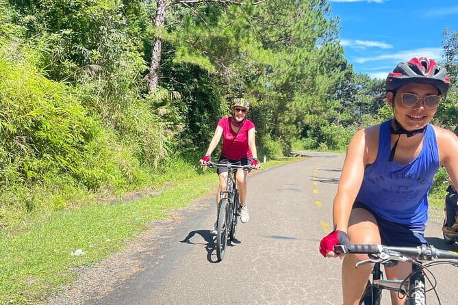 Cycling From Dalat to Mui Ne - The opening climb through coffee and pine country