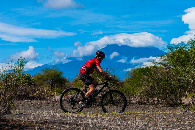 Cycling from Kilimanjaro to Ngorongoro Crater - Day six: Rest, departure, or a Ngorongoro game drive