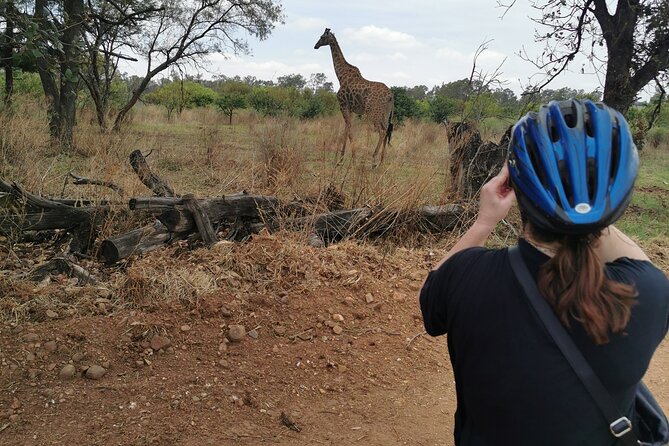 Cycling in a Forest close to Johannesburg and Pretoria - Forest riding close to Pretoria