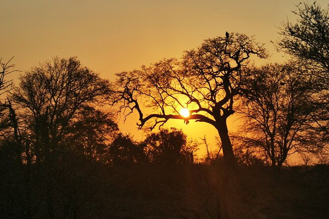 Cycling in a Forest close to Johannesburg and Pretoria - Bikes, water, and the coffee break
