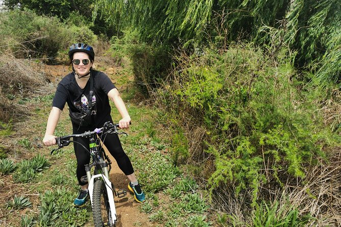 Cycling in a Forest close to Johannesburg and Pretoria - What the ride itself is like
