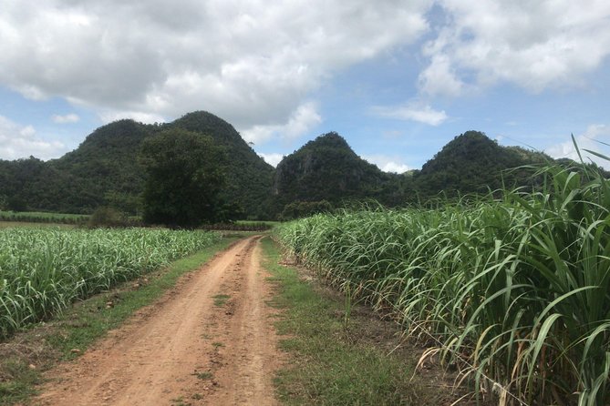 Cycling in rural Kanchanaburi area - Starting at SUP Hire Thailand at 7:30 am