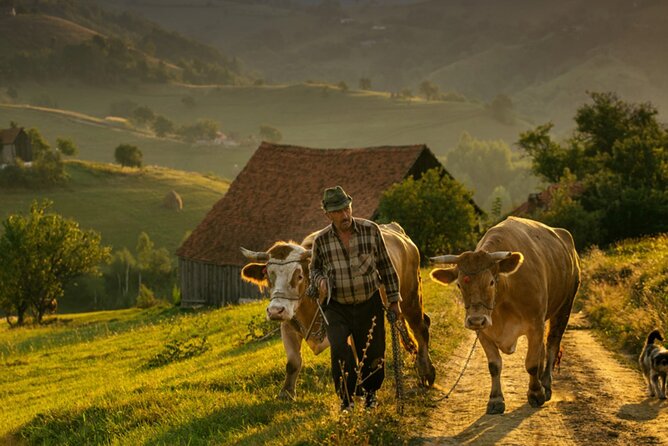 Cycling in Transylvania: Vulcan, Holbav, Cristian. - The paved run toward Vulcan