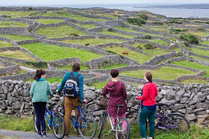 Cycling Inishmore Island. Aran Islands. Self-guided. Full day. - Choosing the right bike for Inishmore