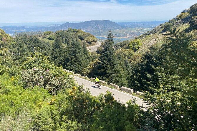 Cycling - Las Palomas Pass - Easy to Moderate Difficulty - From Ronda to the Grazalema starting point