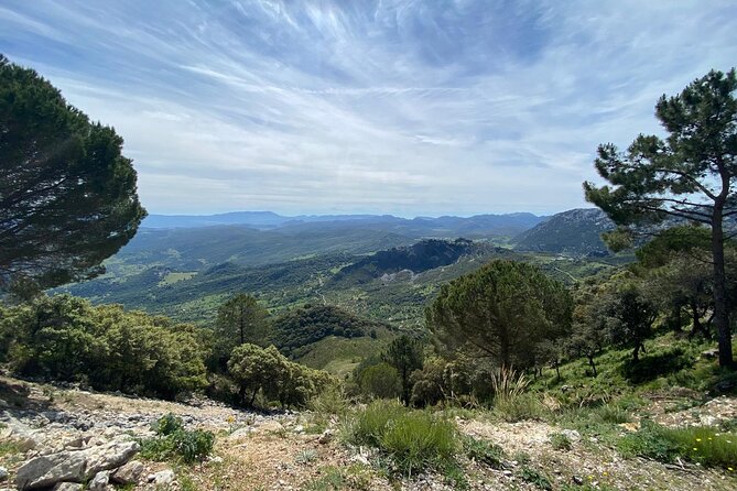 Cycling - Las Palomas Pass - Easy to Moderate Difficulty - Who should book this ride?