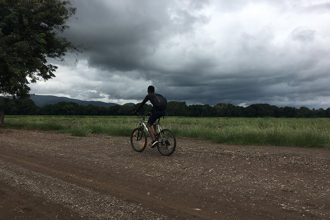 Cycling through the TPC plantations - Leaving Moshi at 7:30 in the morning