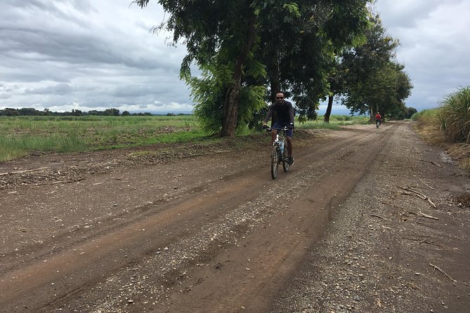 Cycling through the TPC plantations - What the guides add to the ride