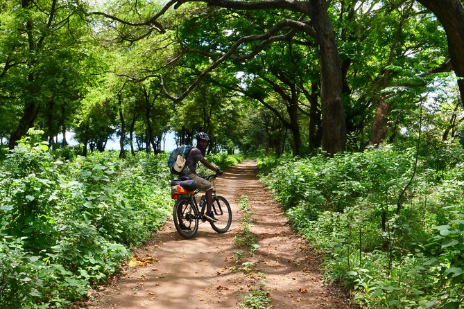 Cycling through the TPC plantations - How much cycling should you expect?