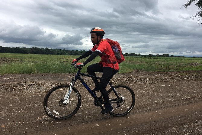 Cycling through the TPC plantations - Sugar cane roads with Kilimanjaro behind you