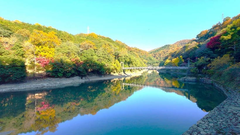 Cycling Tour at Uji's Matcha Green Tea Fields and Heritage - Uji Shrine and Ujigami Shrine