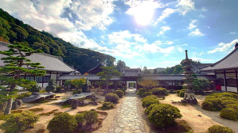 Cycling Tour at Uji's Matcha Green Tea Fields and Heritage - What the $160 price really covers