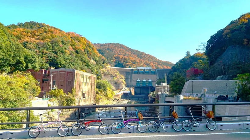 Cycling Tour at Uji's Matcha Green Tea Fields and Heritage - Kosho-ji Temple and the wooded route