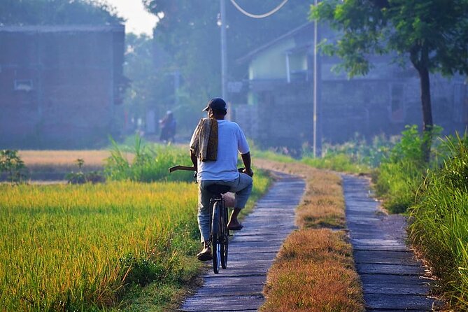 Cycling Tour in Yogyakarta with Lunch 3-Hour - Timing, pickup, and what to plan for
