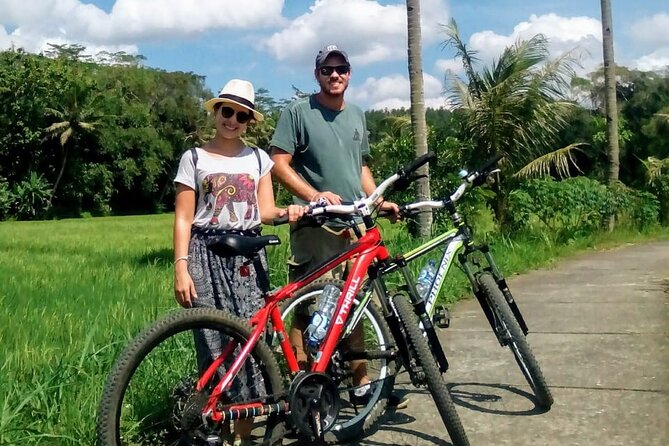 Cycling Tour in Yogyakarta with Lunch 3-Hour - Rice fields, photographs, and the value of going slowly