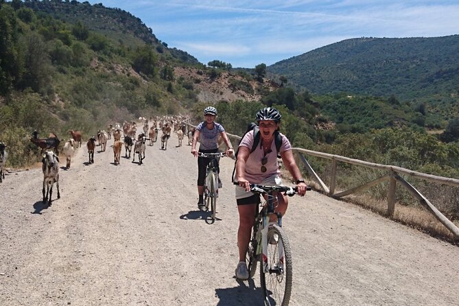 Cycling - Via Verde de la Sierra - 36km - Easy Level - Who will enjoy this ride most?