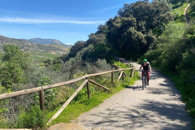 Cycling - Via Verde de la Sierra - Easy Difficulty - Ronda - Why this old railway route works so well by bicycle