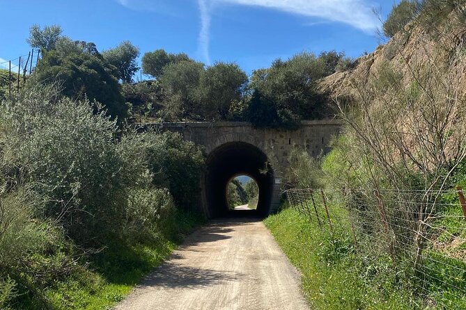 Cycling - Via Verde de la Sierra - Easy Difficulty - Ronda - Bikes, safety equipment, and support
