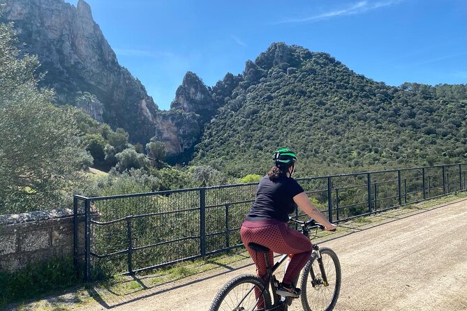 Cycling - Via Verde de la Sierra - Easy Difficulty - Ronda - Is the $132.03 price good value?