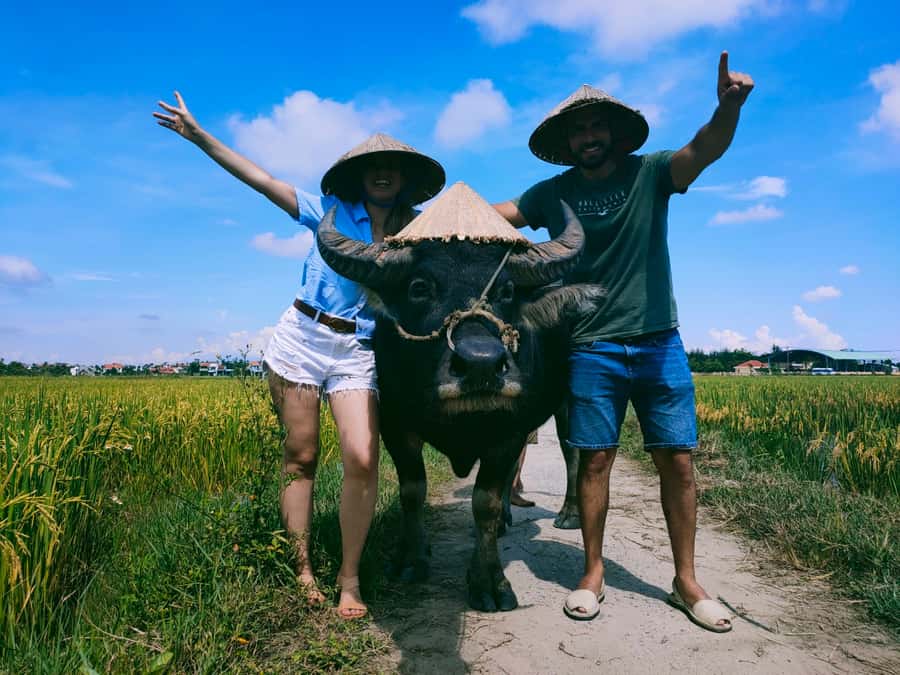 Cycling, Water Buffalo Riding, Traditional Farming Life - From Hoi An’s Old Town to Cam Thanh’s Rice Fields