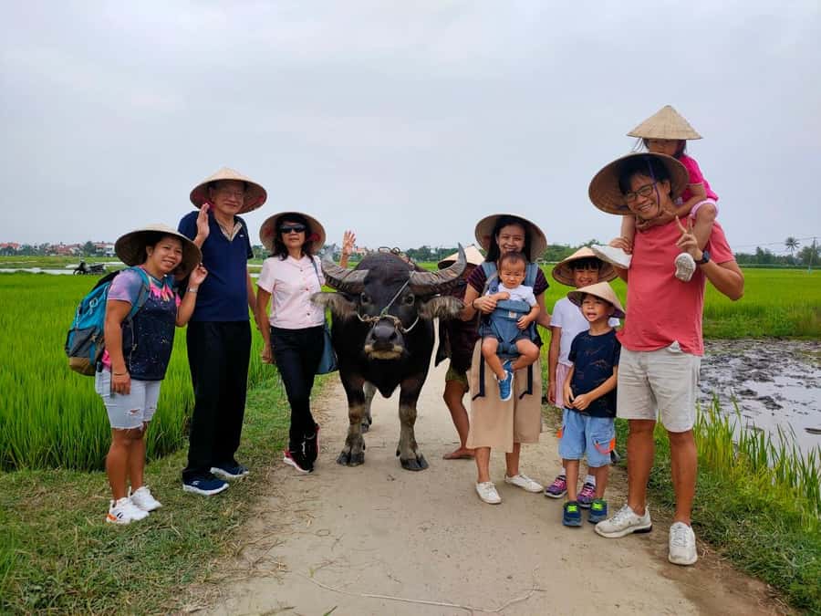 Cycling, Water Buffalo Riding, Traditional Farming Life - Should You Book the Cam Thanh Farming Tour?