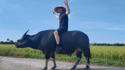 Cycling, Water Buffalo Riding, Traditional Farming Life